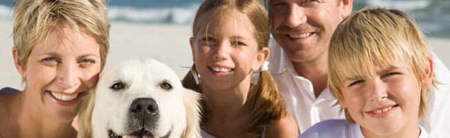 In vacanza con il cane: ecco cosa non può mancare