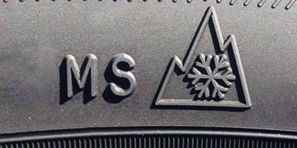 gomme MS