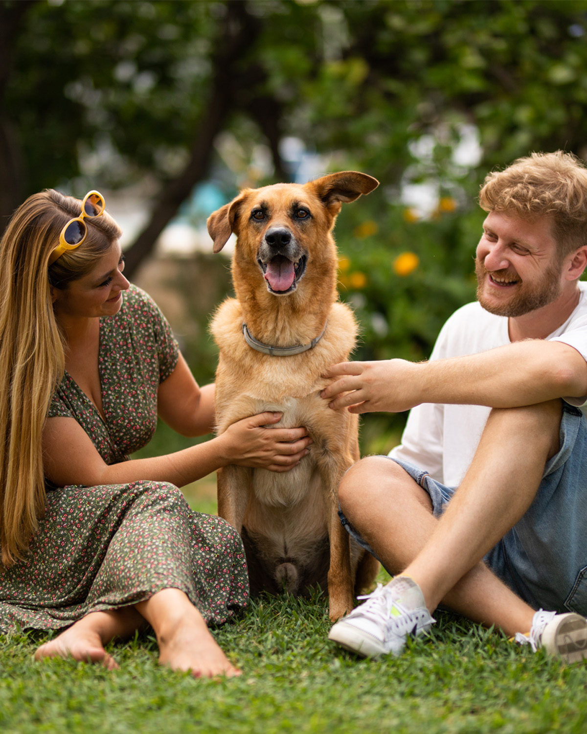Assicurazione cane e gatto: un gesto d’amore per i tuoi animali domestici!