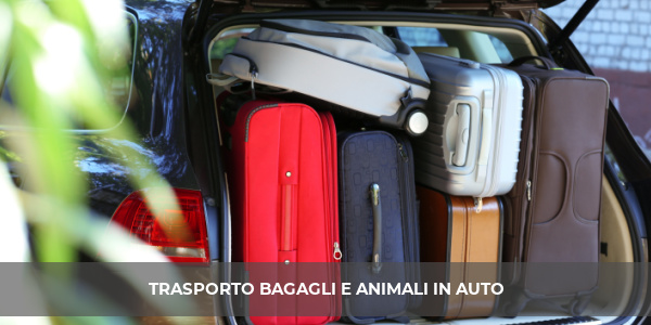 trasporto bagagli animali auto