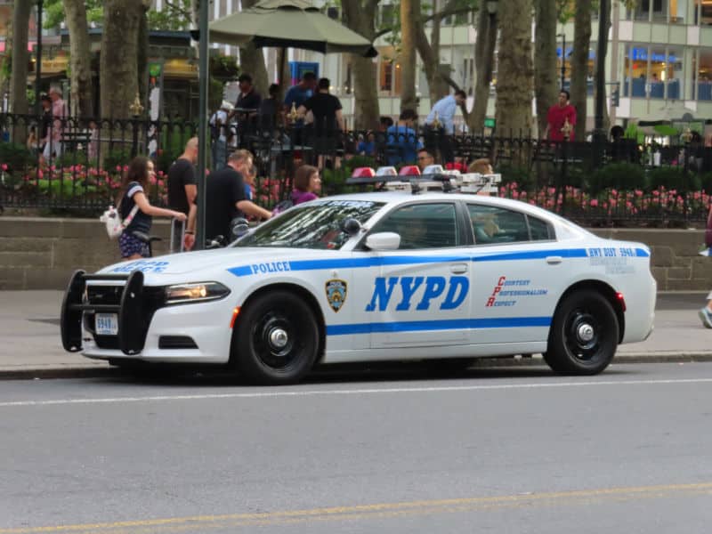 Dodge Charger Pursuit Polizia Usa