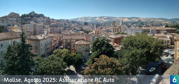 Osservatorio Prezzi Assicurazione Auto in Molise in Agosto 2025